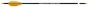 BEARPAW Carbonpfeil Penthalon Slim Line 500 strong Plastikfletches