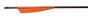 BEARPAW Carbonpfeil Penthalon Slim Line 500 strong Naturfedern
